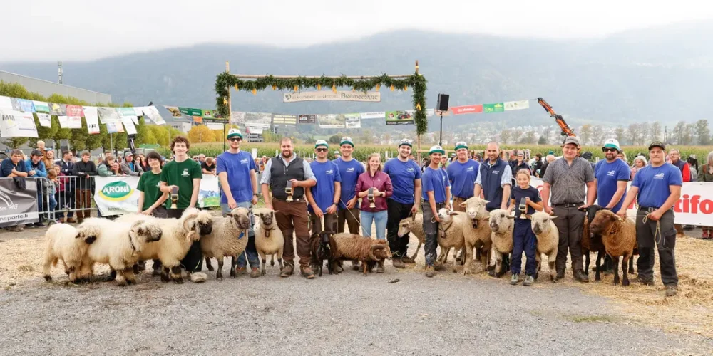 2645888_unterlaender-brememart-eschen-liechtenstein_ajaxbilder_1EWSIO_DLOUmy