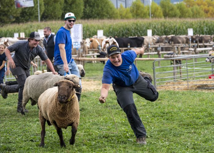 Prämienmarkt Eschen