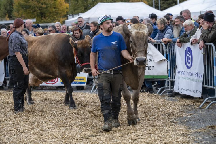 Prämienmarkt Eschen