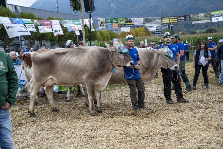 Prämienmarkt Eschen