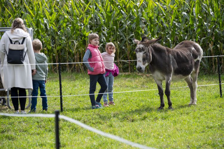 Prämienmarkt Eschen